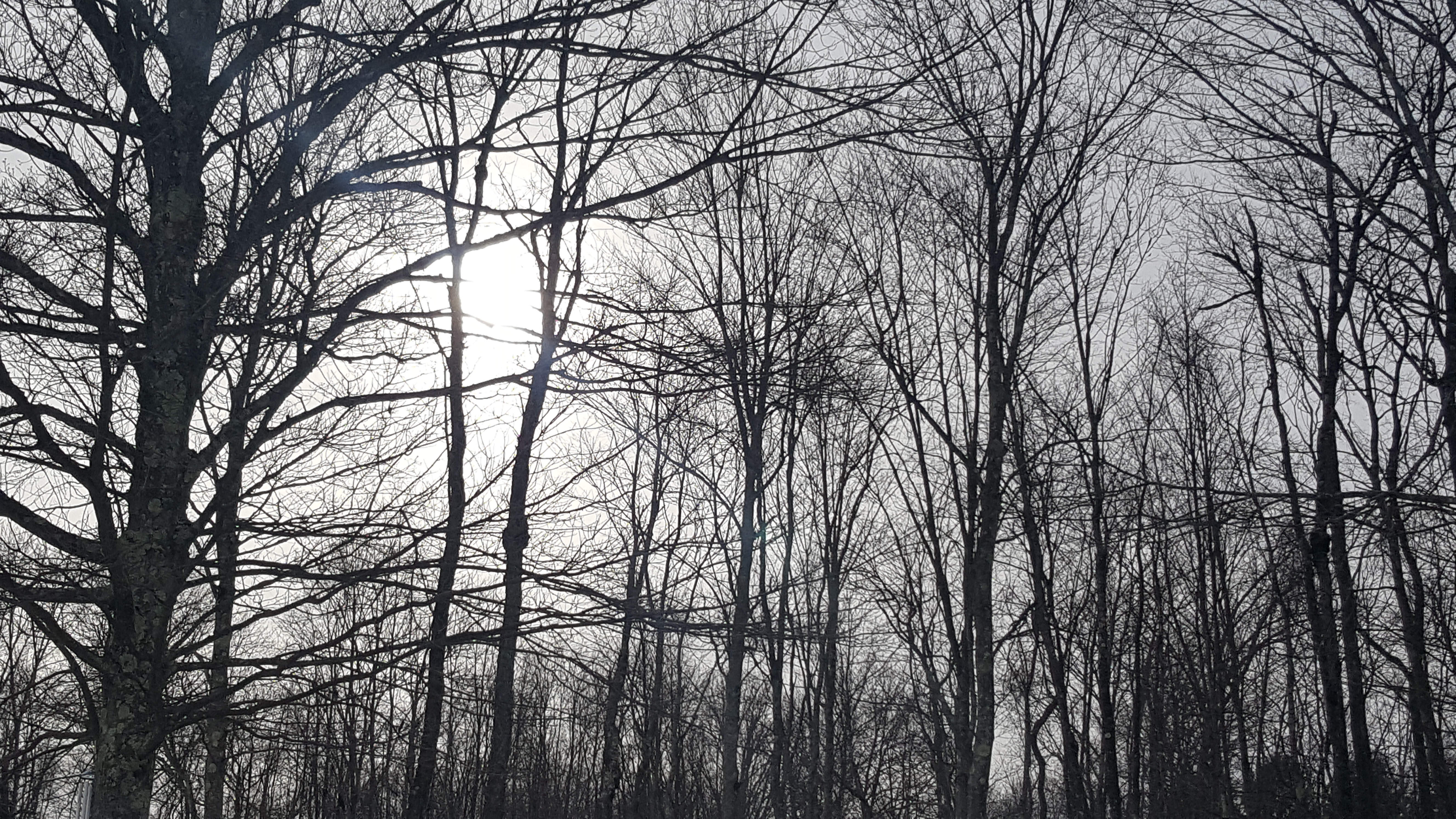 20190214_153900