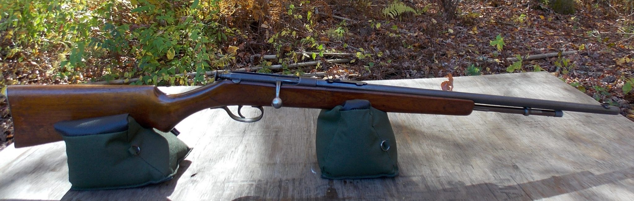 The Siren Song of the Shooting Range 1 The Siren Song of the Shooting Range 1