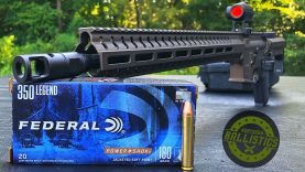 350 LEGEND??? (CMMG Resolute) 9 350 LEGEND??? (CMMG Resolute)