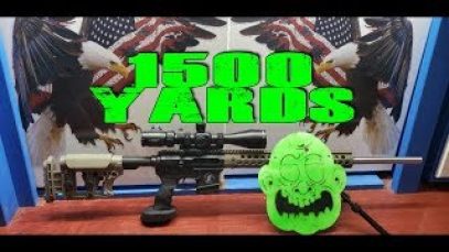 1500 Yard 223 Wylde AR 15 Zombie
