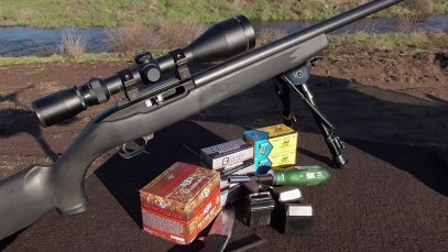 .22lr Accuracy – We Review How to