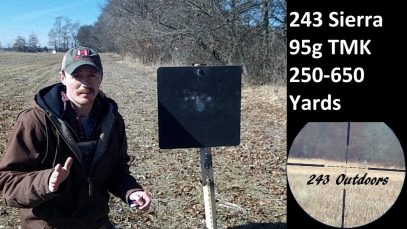 243 Win. Sierra 95g TMK; IMR4831 250-650 Yards