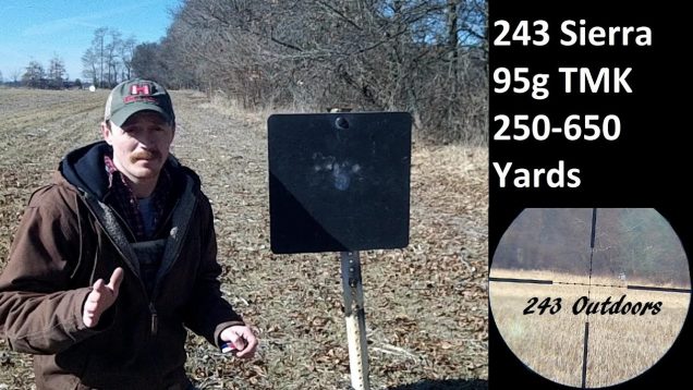 243 Win. Sierra 95g TMK; IMR4831 250-650 Yards
