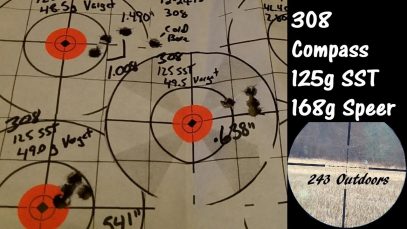 308 Compass; 125g SST and Speer 168g