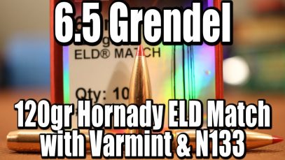 6.5 Grendel – 120gr Hornady ELD with Varmint and N133