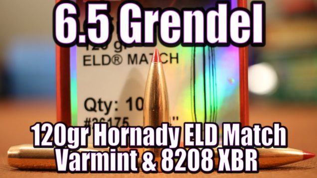 6.5 Grendel – 120gr Hornady ELD with Varmint and 8208 XBR