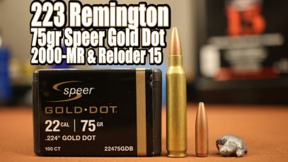 75gr Speer Gold Dot in 223 Remington