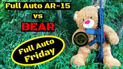 Full Auto AR-15 vs Bear (Full Auto Friday)