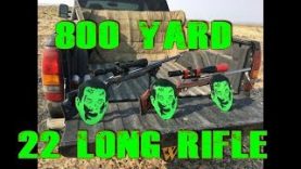 How far can you shoot a 22lr? Can you actually hit something with it?