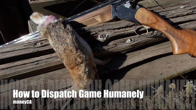 How to Dispatch Small Game – Quick Tips