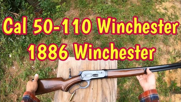 Part 3 testing the Woodleigh 50 Alaskan 50-110 Winchester 500 grain bullet