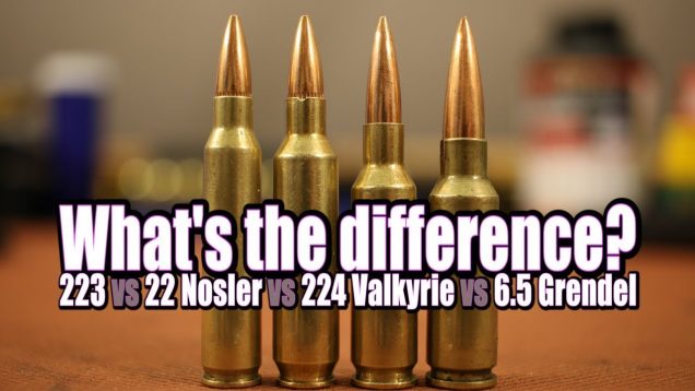 Picking the right AR cartridge for your needs