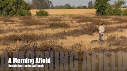 Rabbit Hunting – A Day Afield