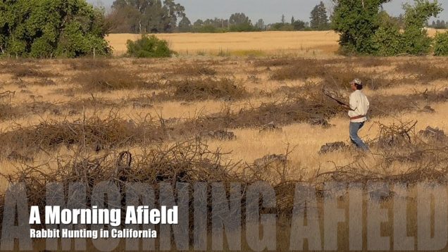 Rabbit Hunting – A Day Afield