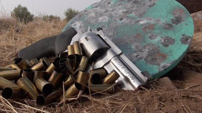 Ruger GP100 44 Special – Almost Perfect
