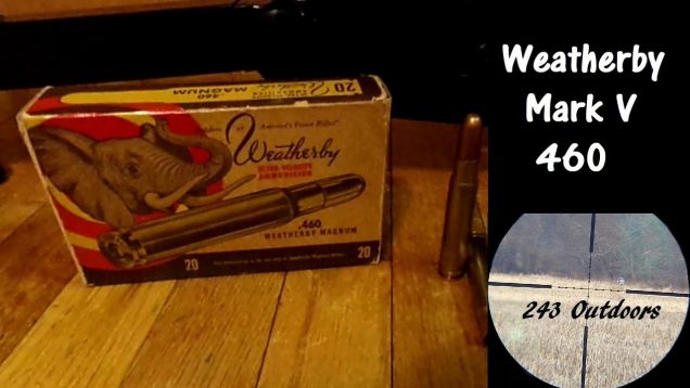 Shooting the Weatherby Mark V in 460 Weatherby Magnum