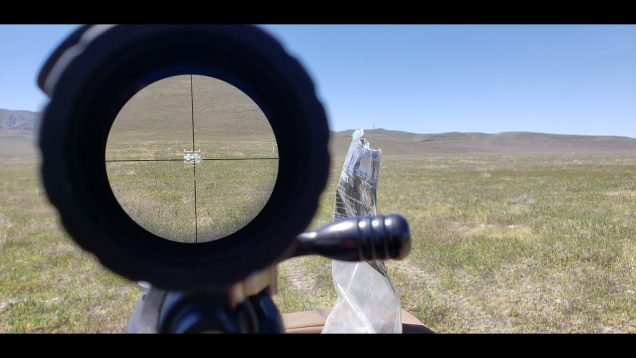 T/C Compass .243