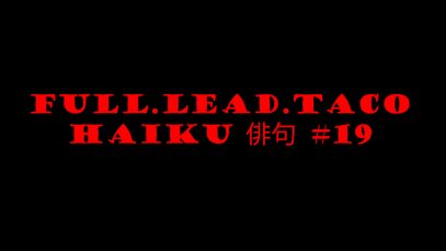 haiku#19