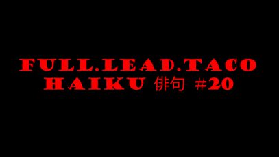 haiku#20