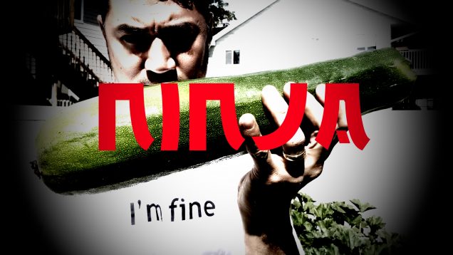 zninjafinal