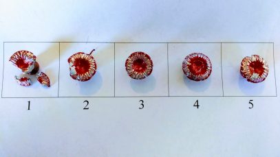 IMG_20170909_114300114