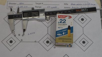 Mr. Revolverguy 22lr Challenge – Irons and Scope