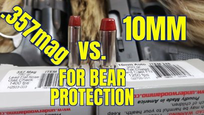 10mm vs .357 Magnum for Bear Protection in Alaska