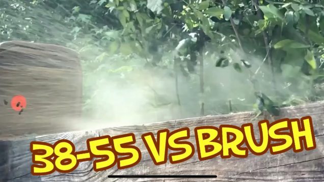 Is the 38-55 a brush gun? 255 grain bullet at 1600 fps