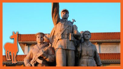How I was Recruited to Become a Socialist Democrat Elite – The Social Regressive