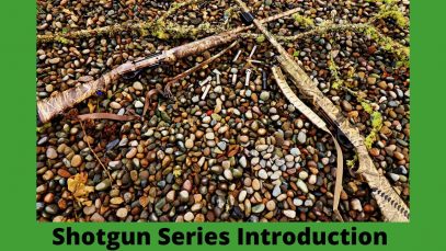 Shotgun Series Introduction PT 1, and Giveaway