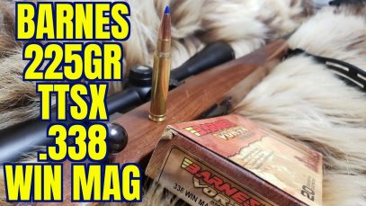 .338 Win Mag Barnes 225gr TTSX  Ruger M77 Review