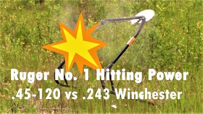 Ruger No. 1 Hitting Power – .45-120 vs .243 Comparison