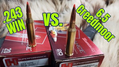 6.5 Creedmoor vs. 243 Winchester