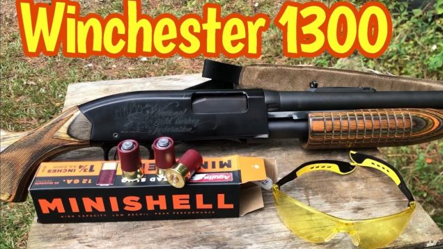 Winchester 1300  vs minishells and Federal Shortys