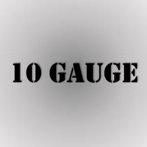 10 Gauge