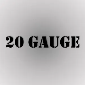 20 Gauge