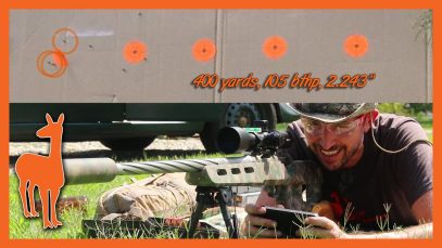 243 Winchester 400 Yard Accuracy – Savage Telekinesis Rifle