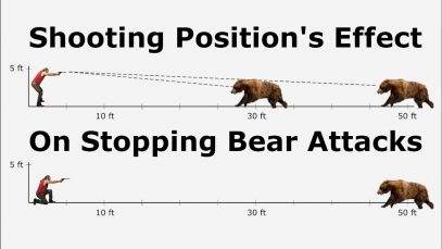 Shooting Position’s Effect On Stopping Bear Attacks