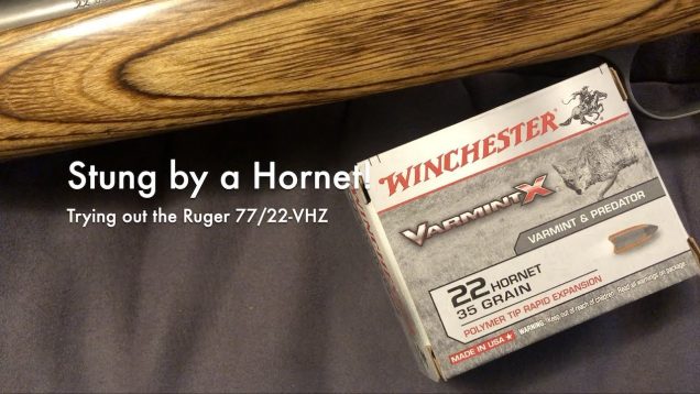 WCChapin | Stung by a Hornet! – Trying out the Ruger K77/22-VHZ