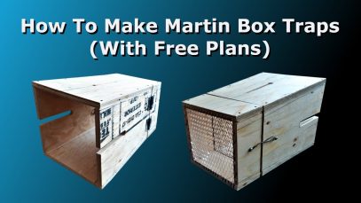 How To Make Martin Box Traps (With Free Plans)