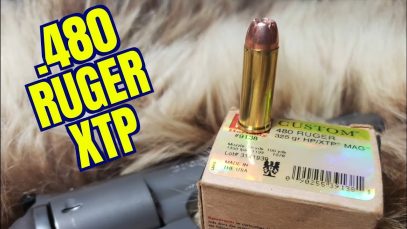 480 RUGER HORNADY 325GR XTP