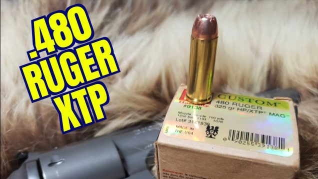 480 RUGER HORNADY 325GR XTP