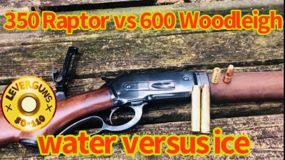 Lever action elephant rifle, 600gr Woodleigh VS 350gr Raptor