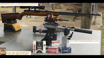 Remington 550-1 and Winchester 22 Short