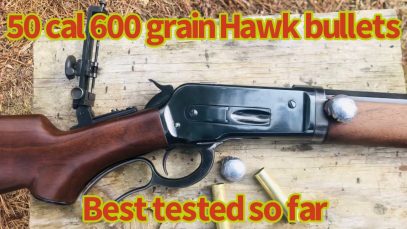 600 grain 50 cal Hawk bullets out of an 1886 lever action elephant rifle