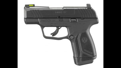 Ruger Max9