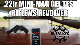 CCI MINI-MAG HP ~ Long Barrel vs Short Barrel in Ballistic Gel 20 maxresdefault (48)
