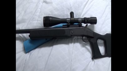 NEF Handi Rifle  223 Remington Survivor