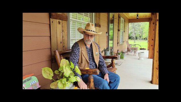 TRR April 3 2021