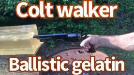 Colt Walker versus Ballistic Gelatin